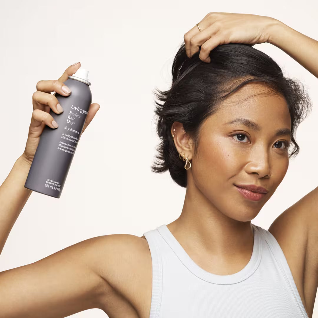 LP Perfect Hair Day Dry Shampoo - BAY WINDOW