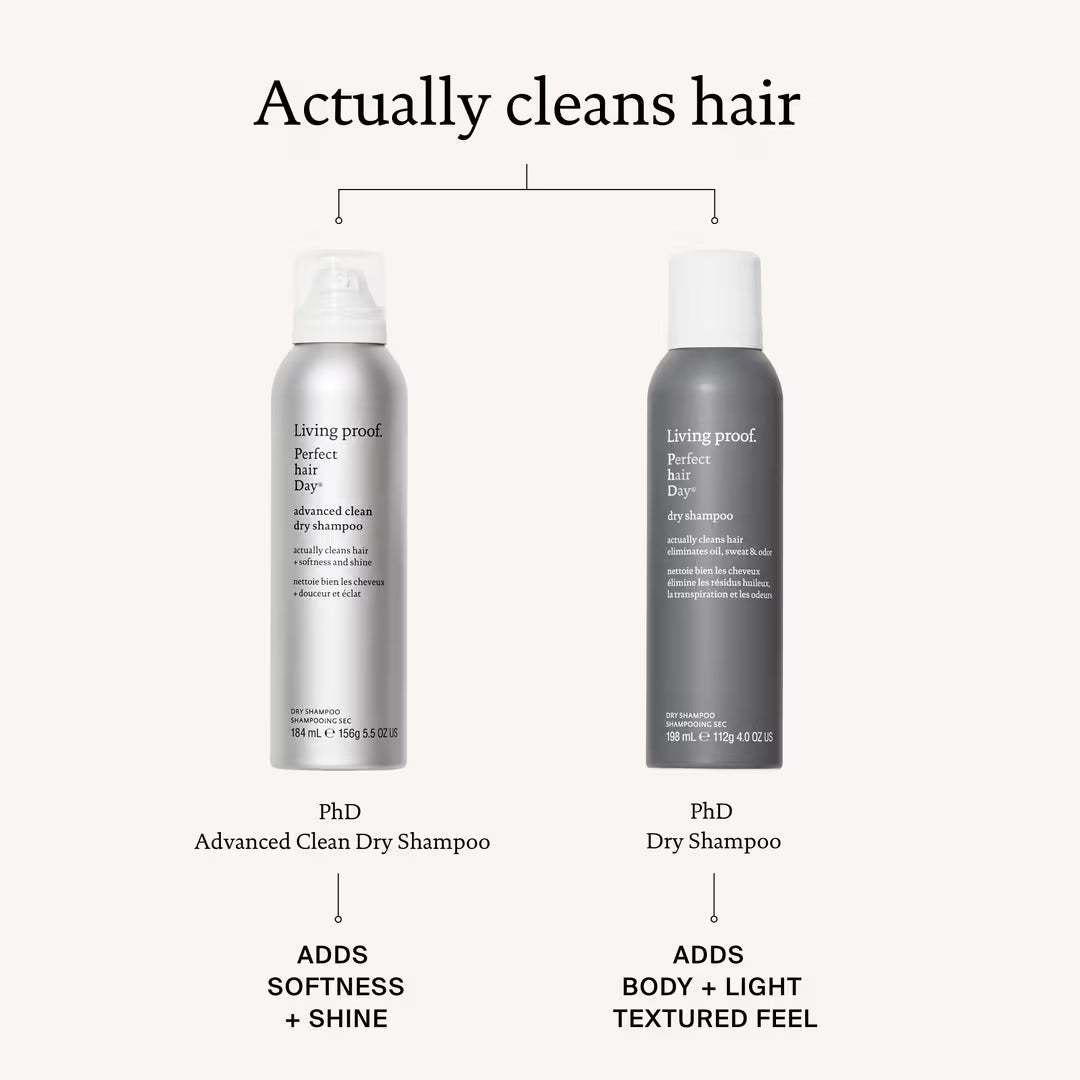 LP Perfect Hair Day Dry Shampoo - BAY WINDOW