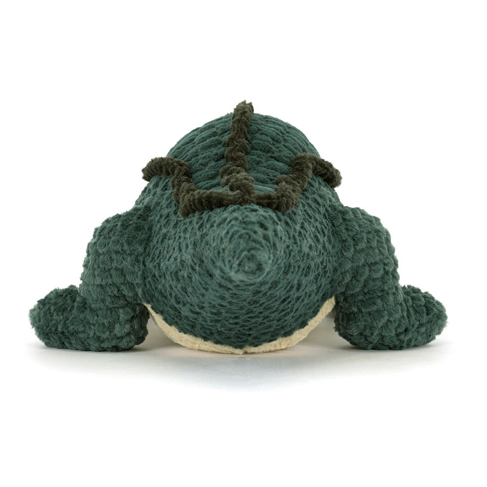 Allexi Alligator - BAY WINDOW