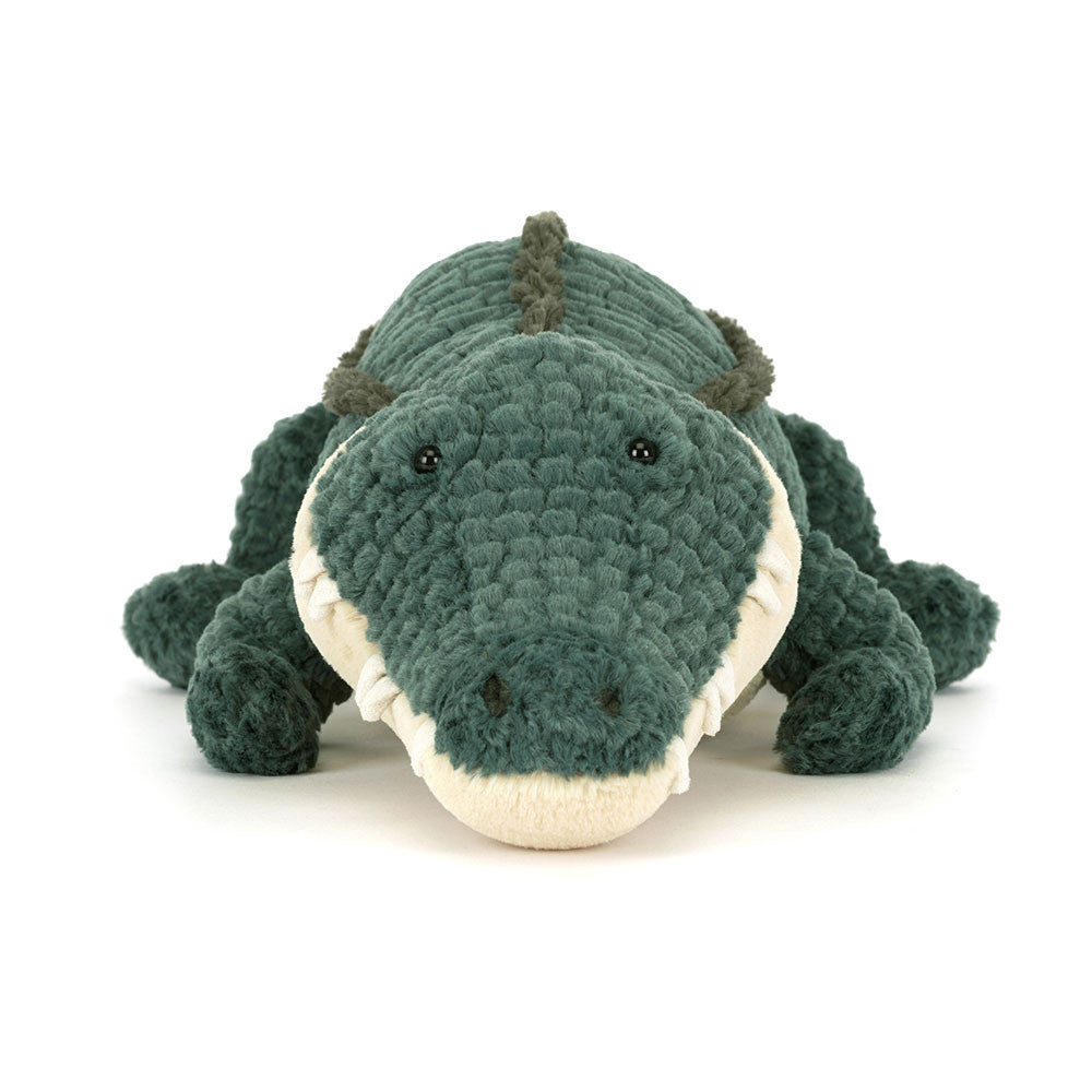 Allexi Alligator - BAY WINDOW