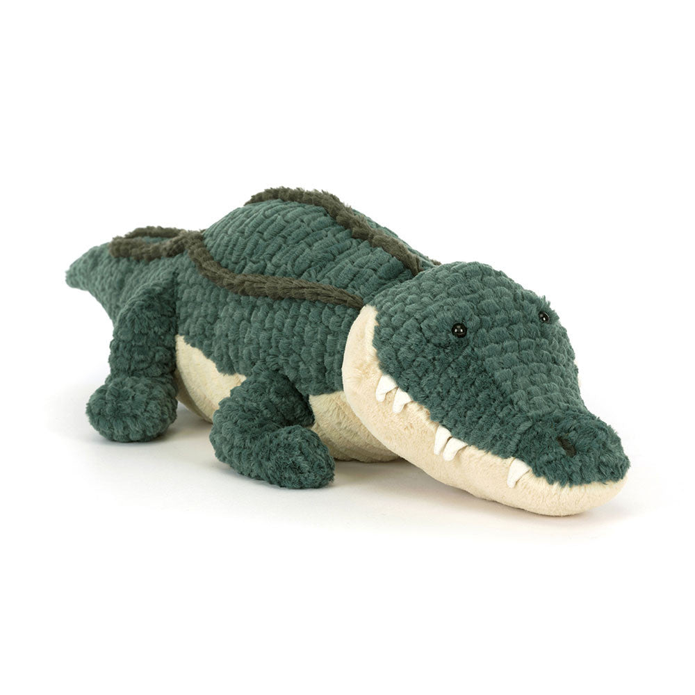 Allexi Alligator - BAY WINDOW