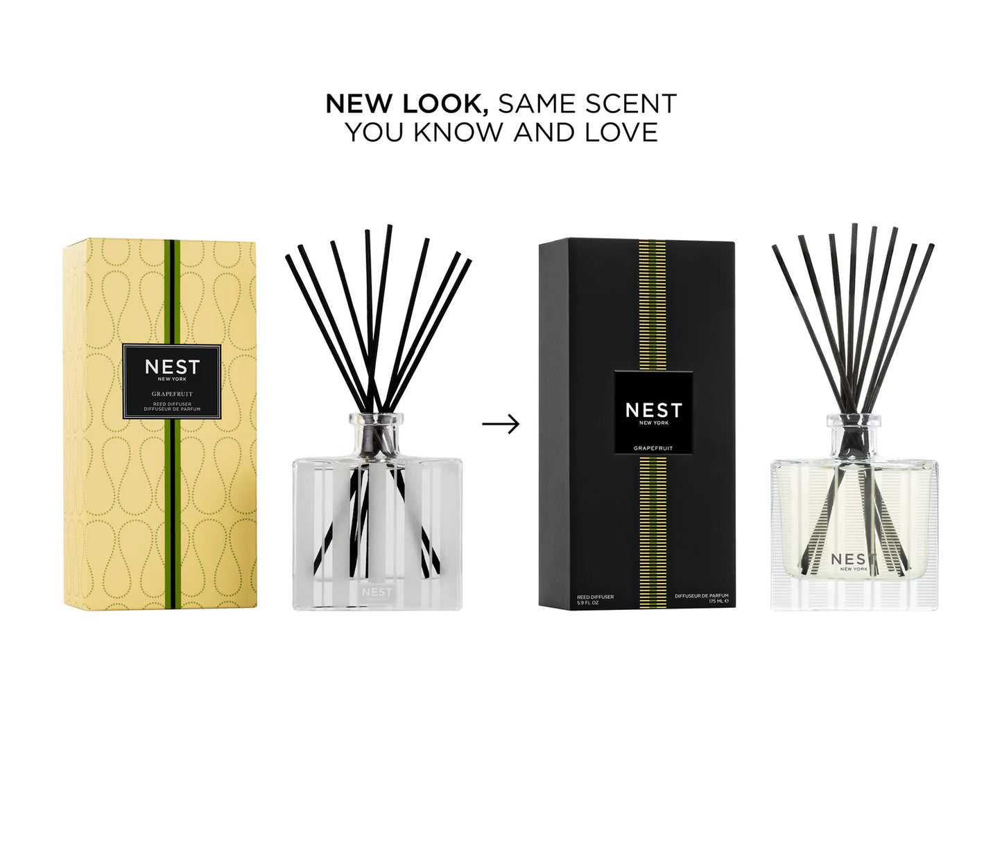 Grapefruit Reed Diffuser - BAY WINDOW