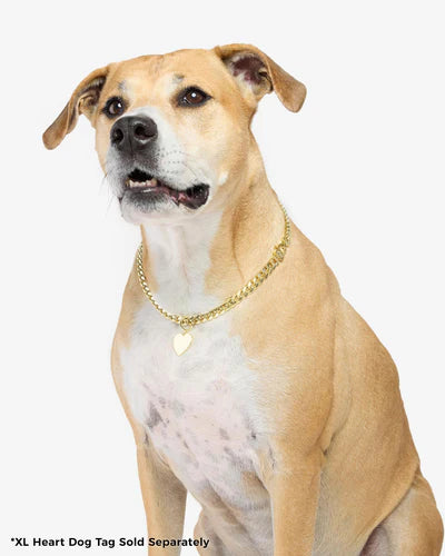 XL Heart Engravable Dog Tag - BAY WINDOW