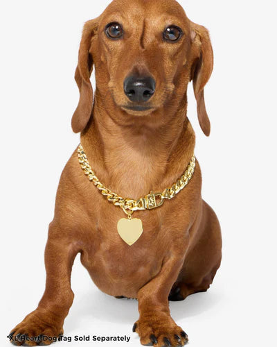 XL Heart Engravable Dog Tag - BAY WINDOW