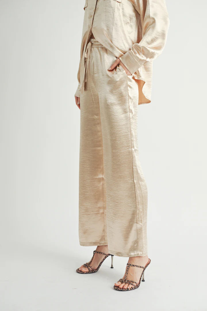 Metallic Pants - BAY WINDOW