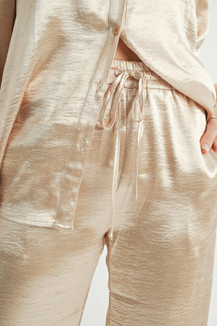 Metallic Pants - BAY WINDOW
