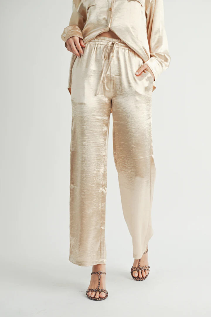 Metallic Pants - BAY WINDOW