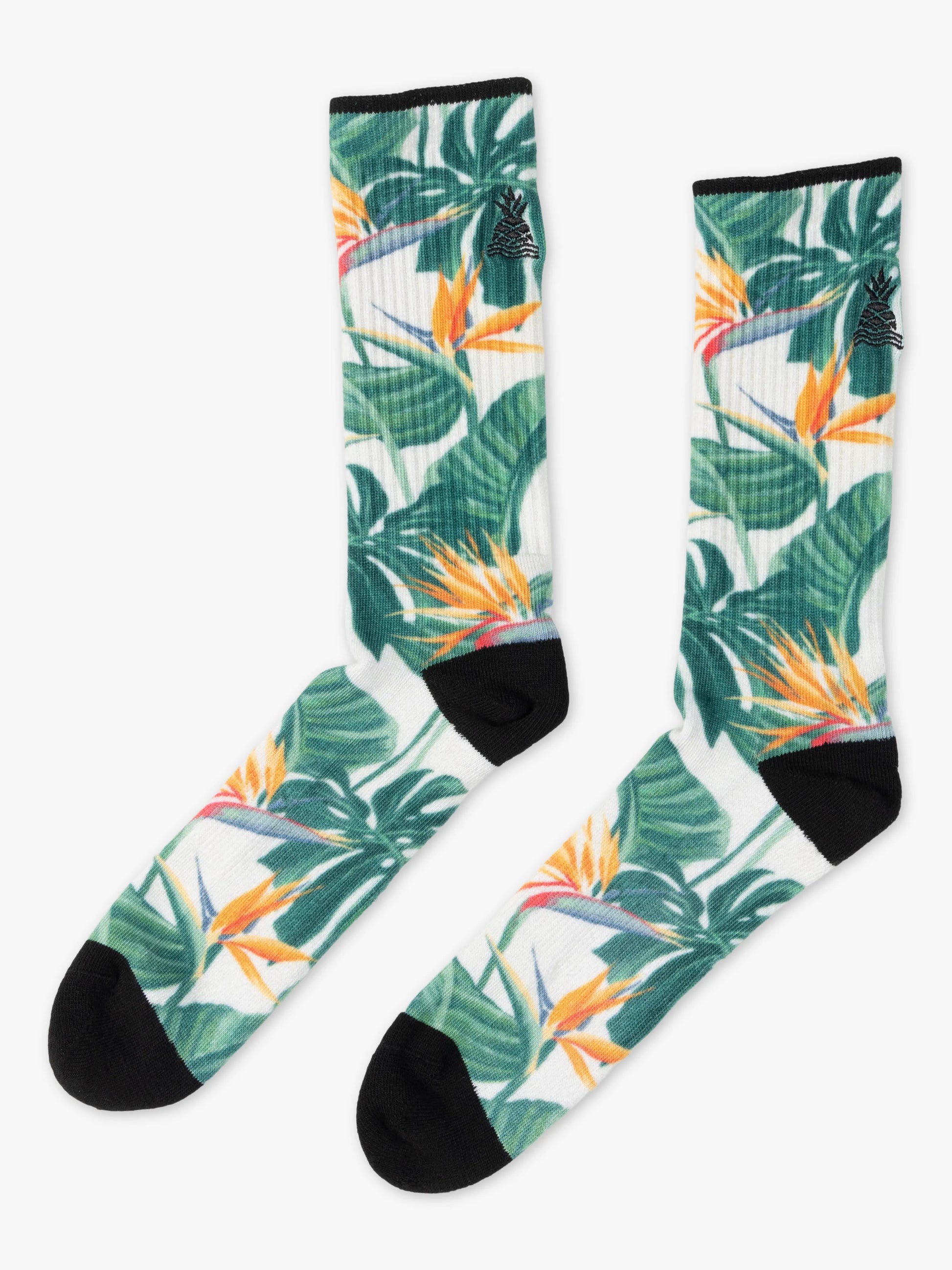 The Frond of Yous (All Day Sock) - BAY WINDOW