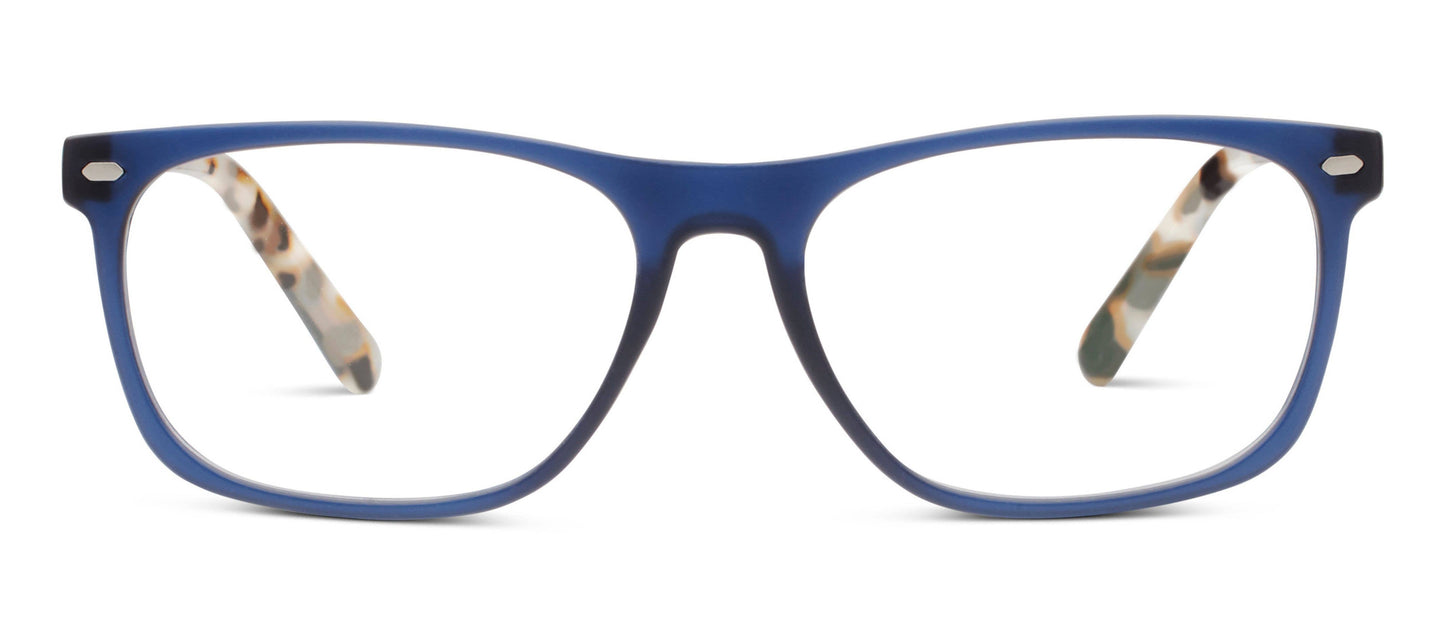 Dexter (Blue Light) - BAY WINDOW