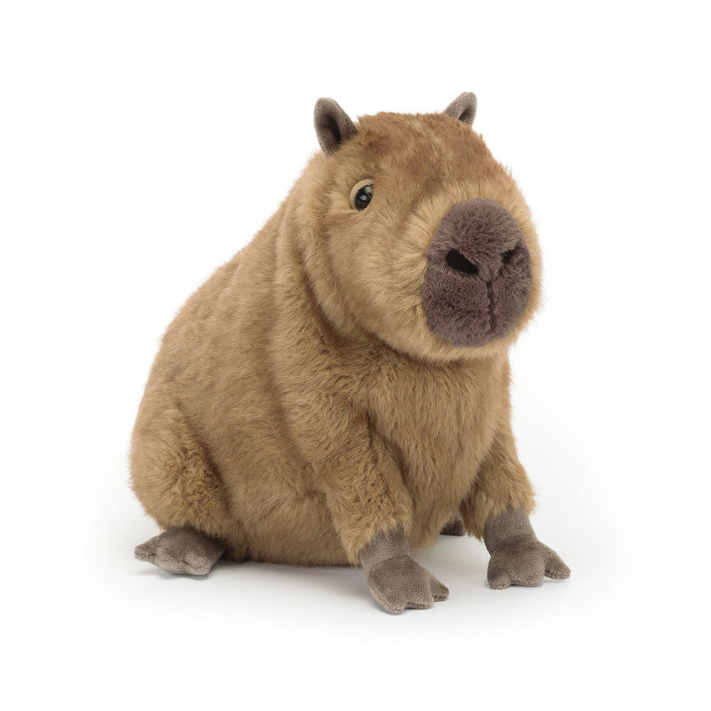 Clyde Capybara - BAY WINDOW