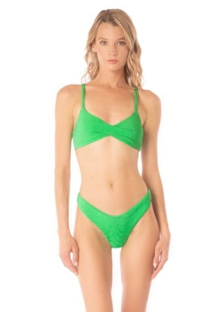 Parakeet Green Temis Bikini Top - BAY WINDOW