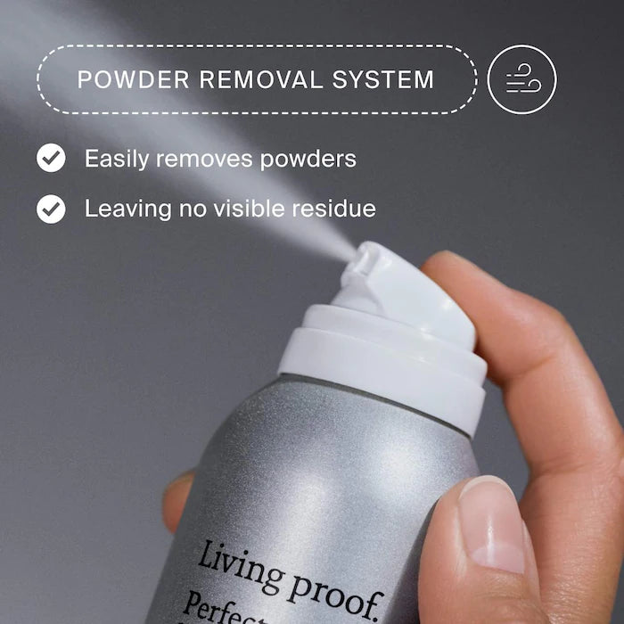 LP Perfect Hair Day Advanced Clean Dry Shampoo - BAY WINDOW