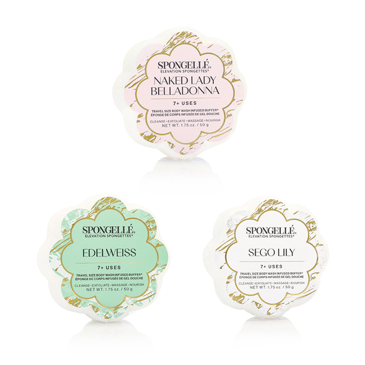 Elevation Spongette - BAY WINDOW