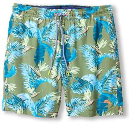 Naples Paradiso Sands 6 inch Shorts - Palm Green - BAY WINDOW