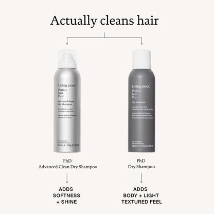LP Perfect Hair Day Dry Shampoo - BAY WINDOW
