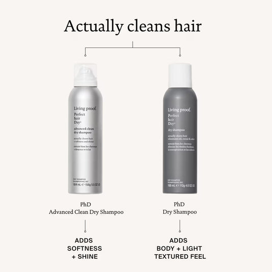 LP Perfect Hair Day Dry Shampoo - BAY WINDOW