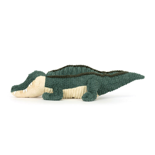Allexi Alligator - BAY WINDOW