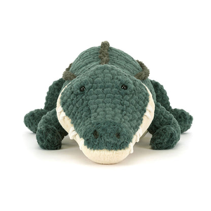 Allexi Alligator - BAY WINDOW