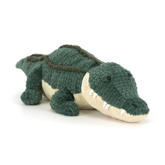 Allexi Alligator - BAY WINDOW