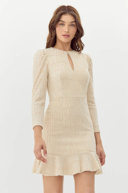 Jocelyn Textured Burnout Knit Mini Dress