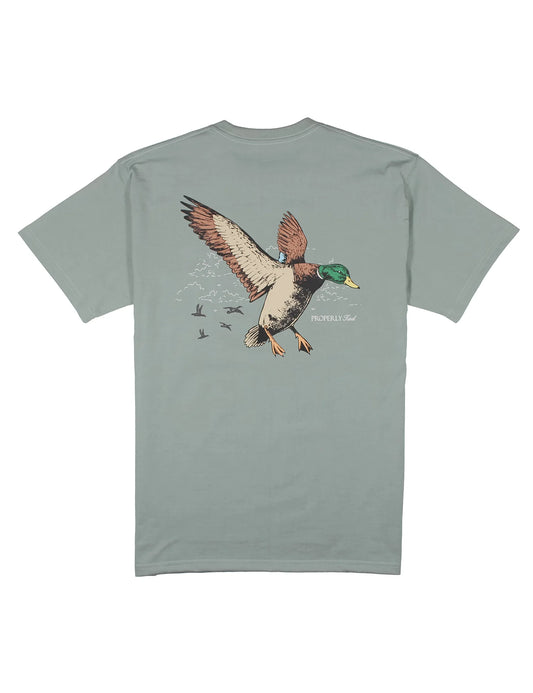 Mallard Flight SS