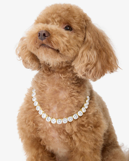 Royal Pet Tennis Necklace - BAY WINDOW