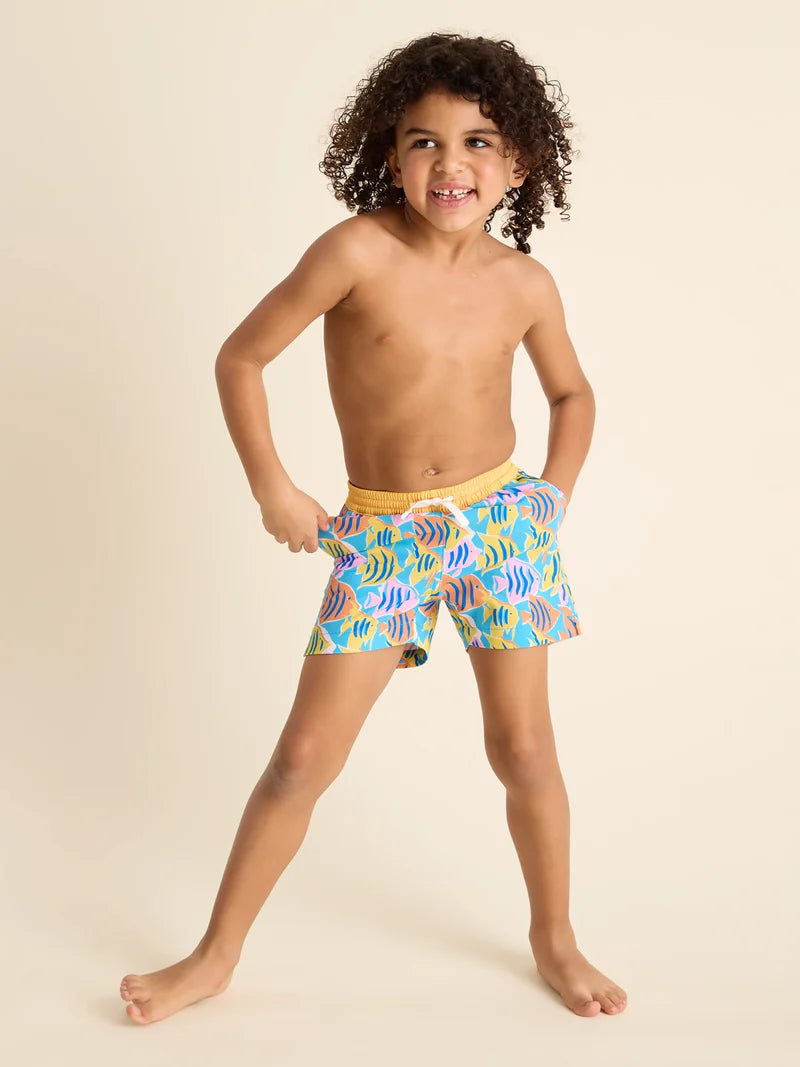 The Fish Tanks (Toddler Swim Trunk) - BAY WINDOW