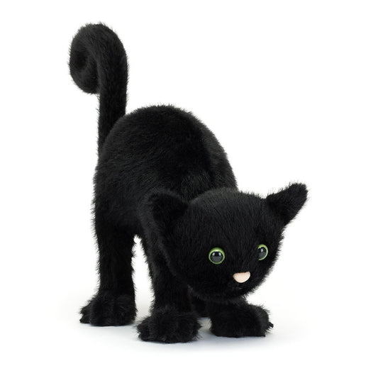Spookipaws Cat - BAY WINDOW