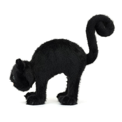 Spookipaws Cat - BAY WINDOW
