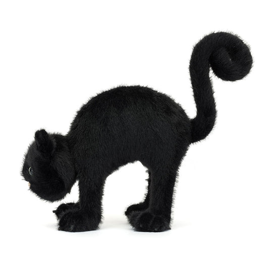 Spookipaws Cat - BAY WINDOW