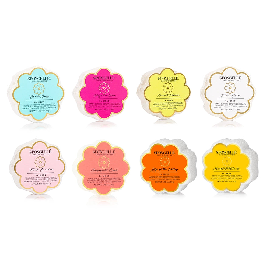 Daisy Spongette - BAY WINDOW