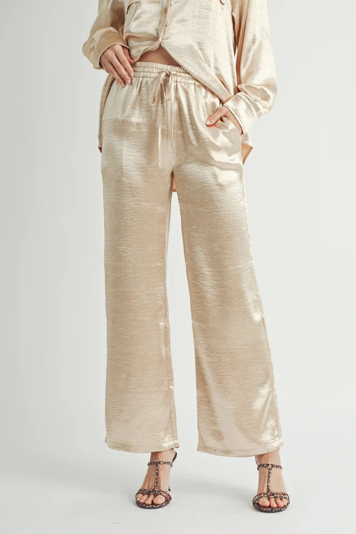 Metallic Pants - BAY WINDOW
