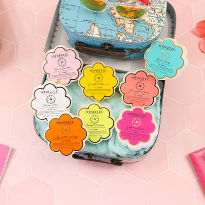 Daisy Spongette - BAY WINDOW