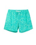 The Pool Parties 5.5" (Classic Swim Trunk) - BAY WINDOW