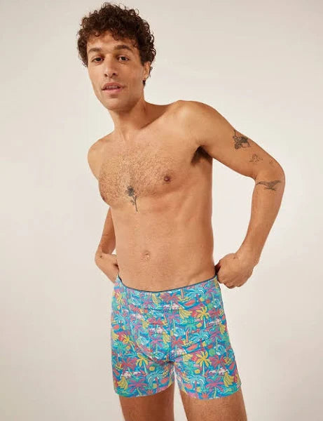 Chubbies Boxer Brief - BAY WINDOW