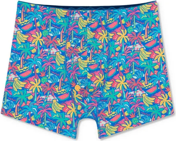 Chubbies Boxer Brief - BAY WINDOW
