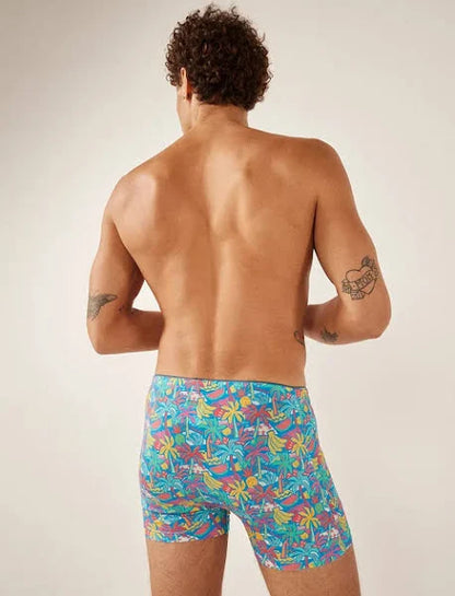 Chubbies Boxer Brief - BAY WINDOW