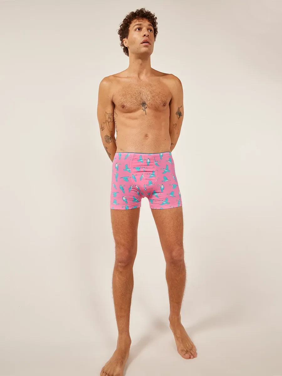 Chubbies Boxer Brief - BAY WINDOW