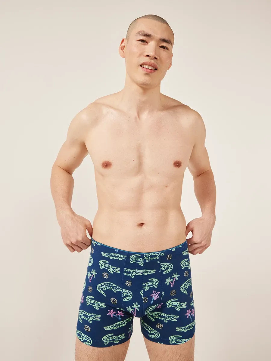 Chubbies Boxer Brief - BAY WINDOW