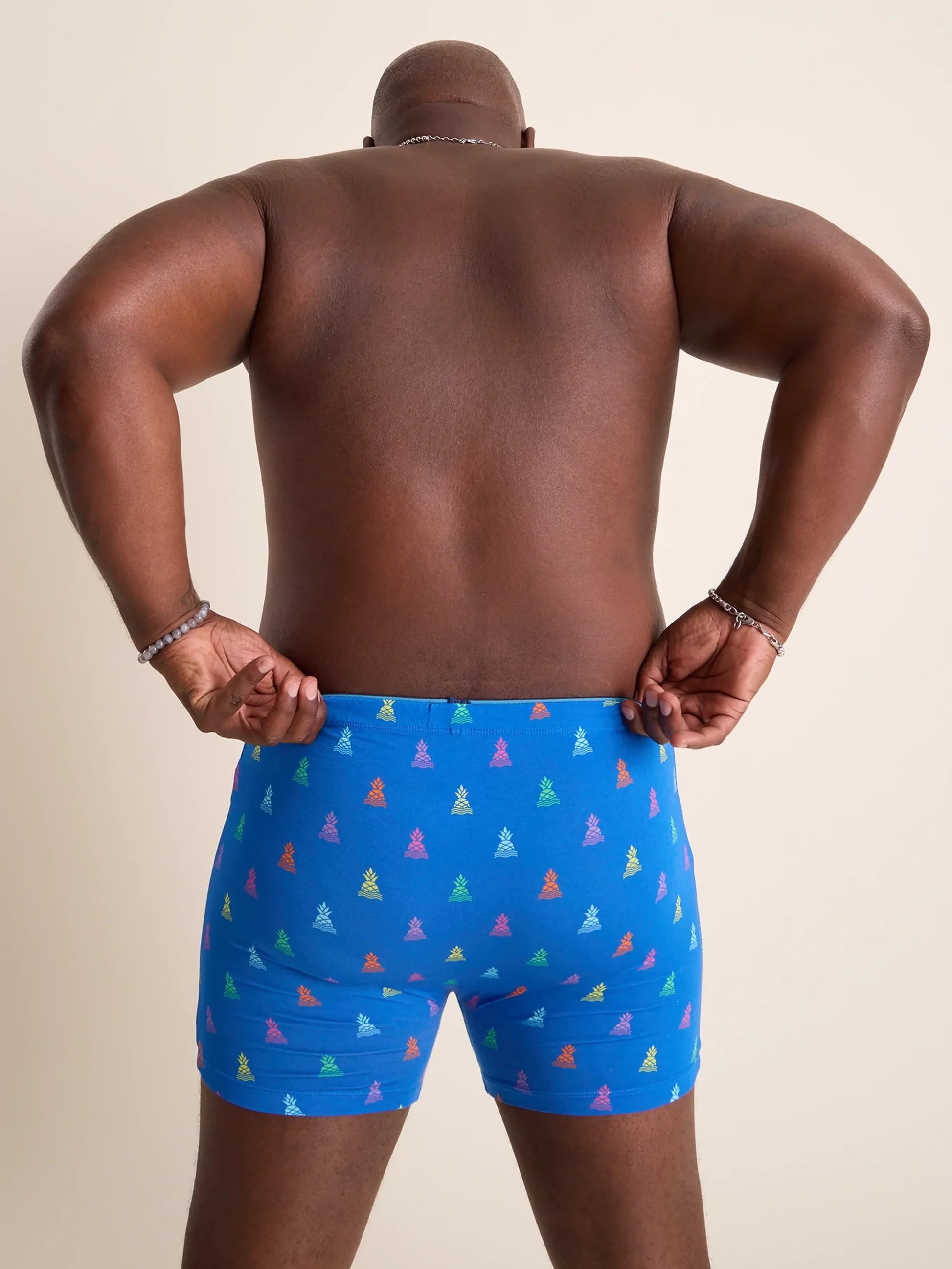 Chubbies Boxer Brief - BAY WINDOW