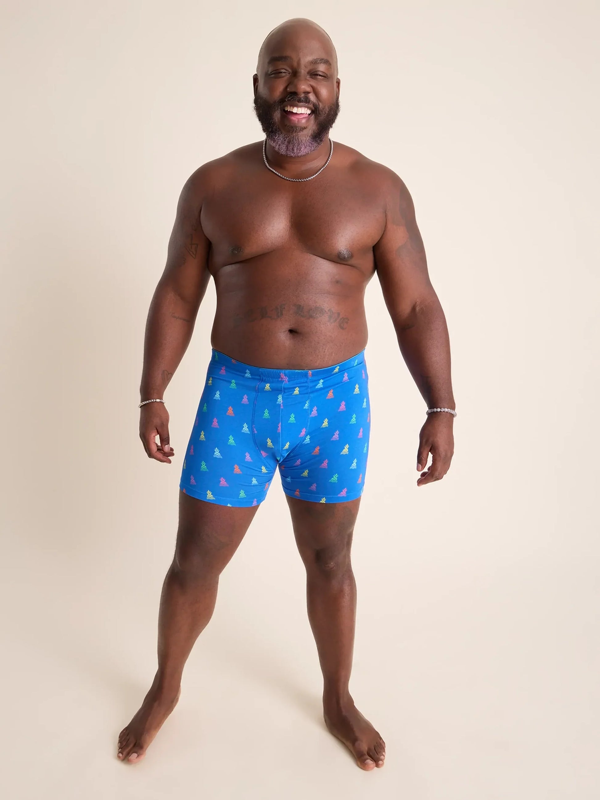 Chubbies Boxer Brief - BAY WINDOW