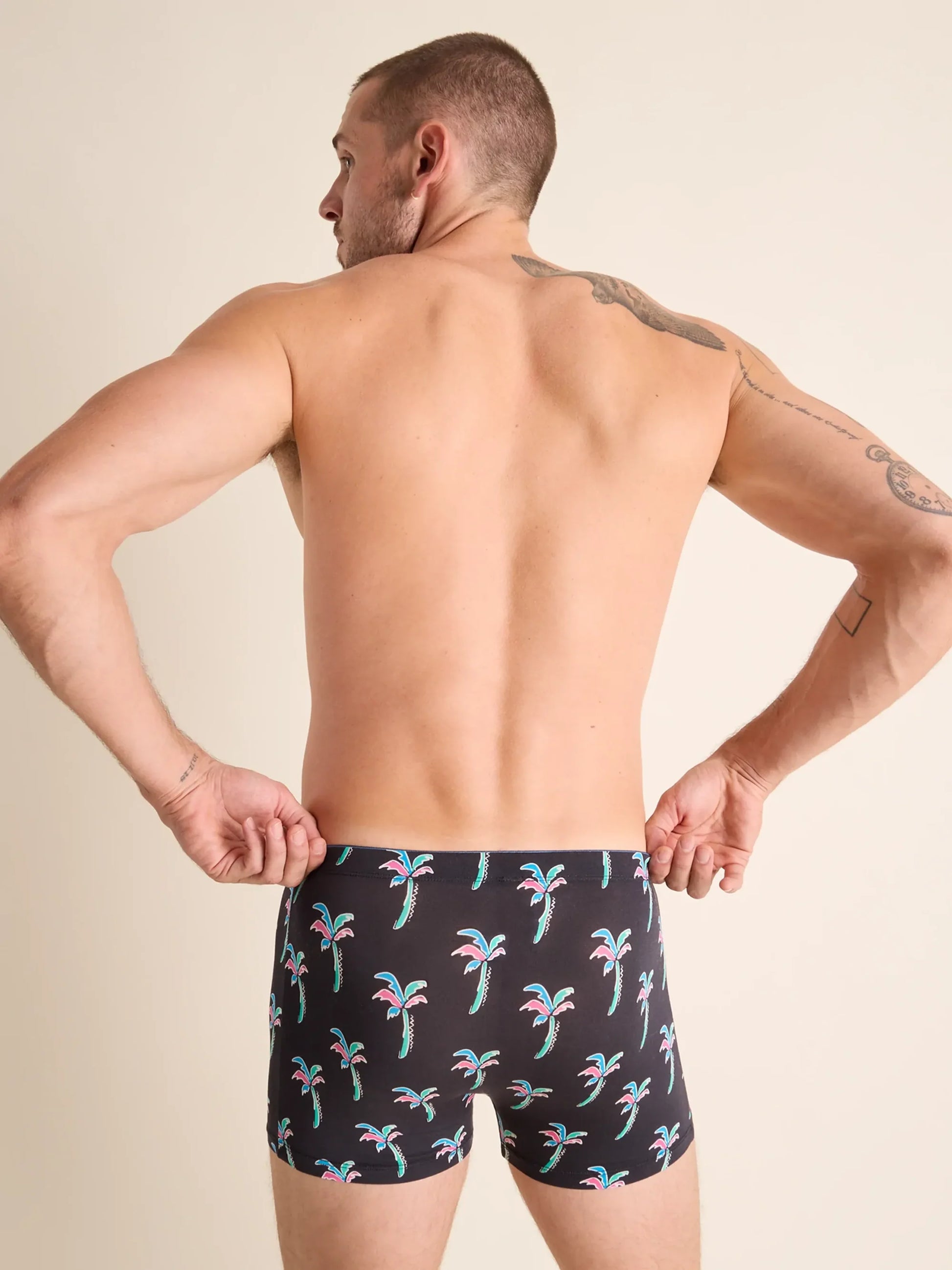 Chubbies Boxer Brief - BAY WINDOW