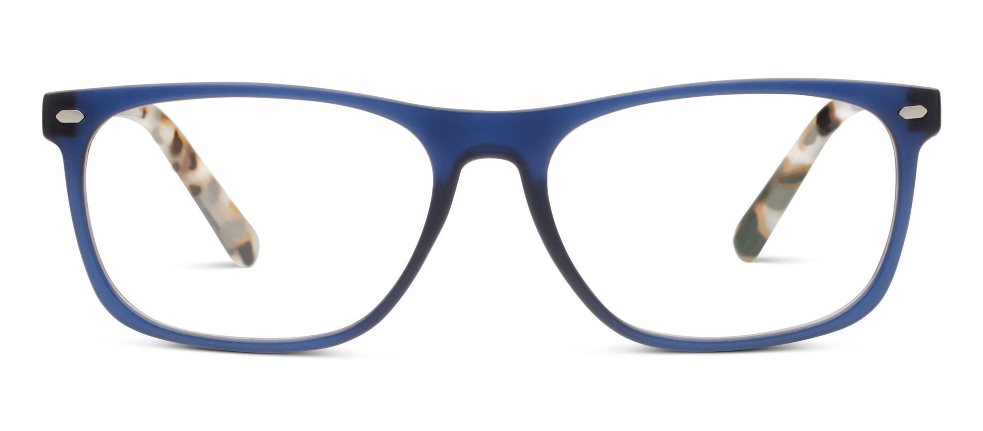 Dexter (Blue Light) - BAY WINDOW
