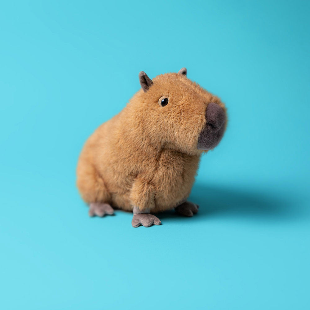 Clyde Capybara - BAY WINDOW