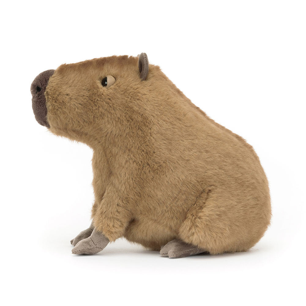 Clyde Capybara - BAY WINDOW