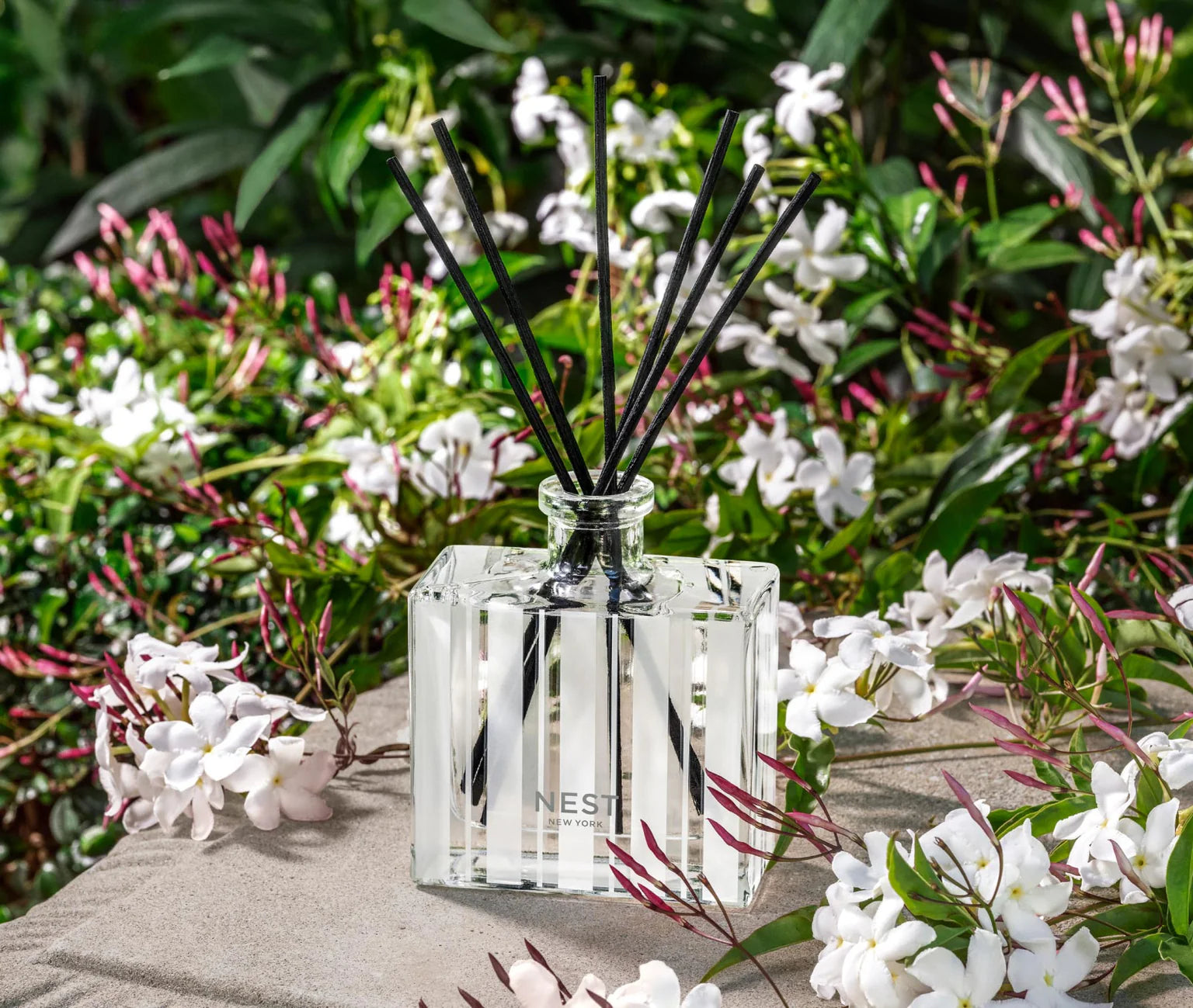 Indian Jasmine Reed Diffuser 5.9 fl oz. - BAY WINDOW