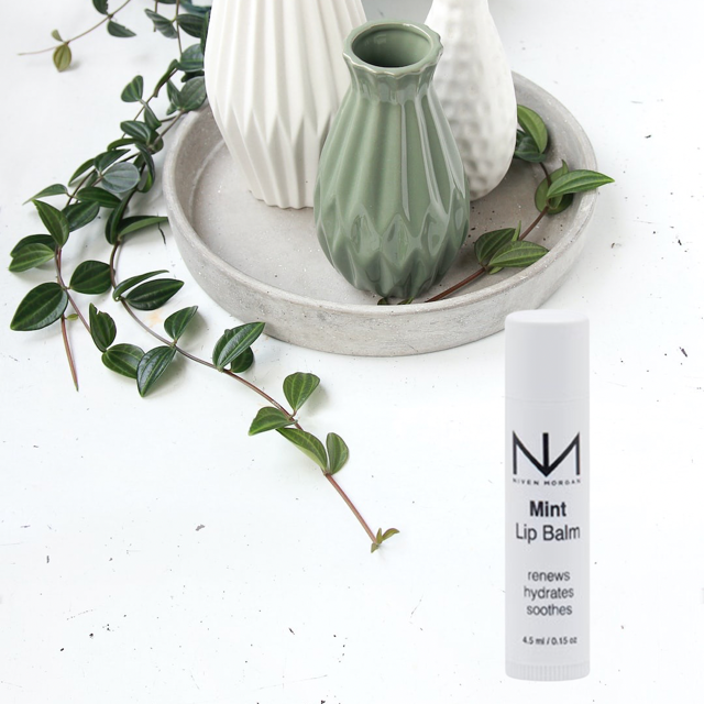 Mint Lip Balm - BAY WINDOW