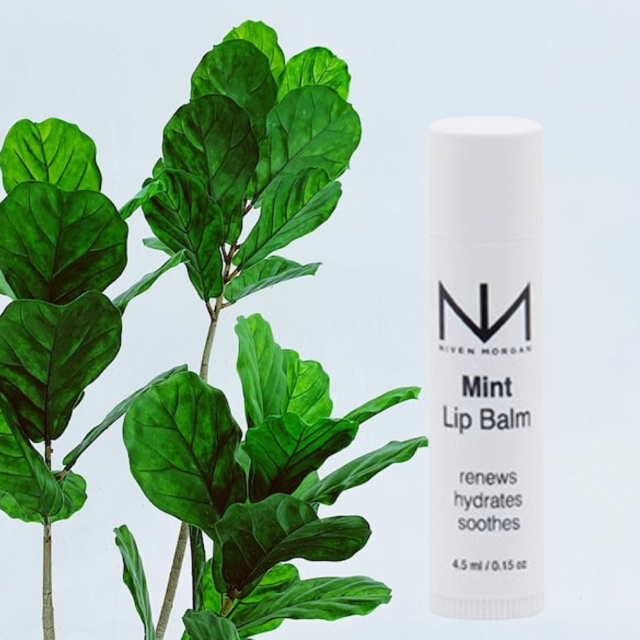Mint Lip Balm - BAY WINDOW