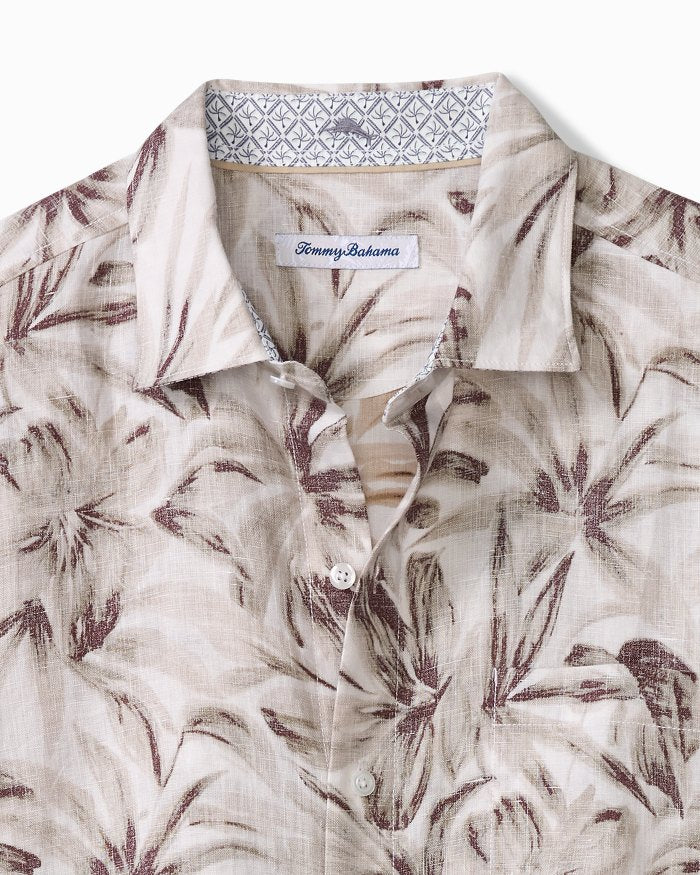 Paradise Dunes - Soft Brown - BAY WINDOW